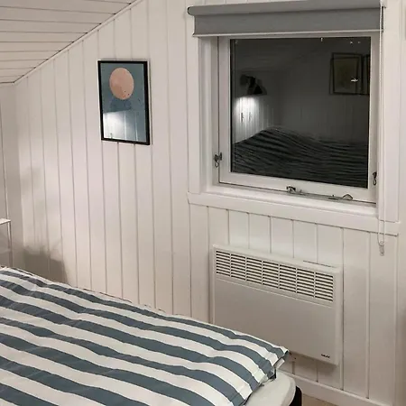 Pet Friendly In V With Wifi *